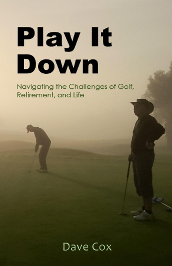 Play it Down book cover